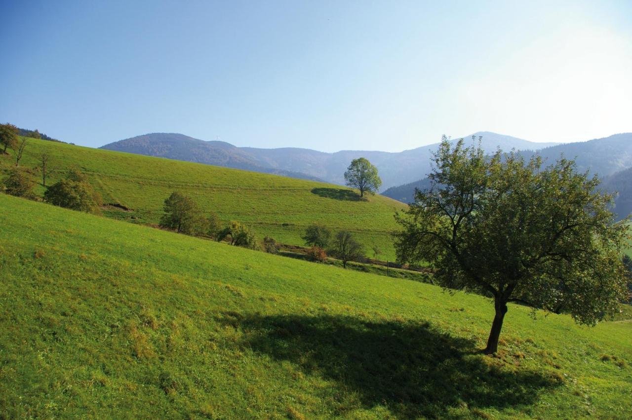 Zeitraum Ferienwohnung Tafelbuehl Elzach Εξωτερικό φωτογραφία
